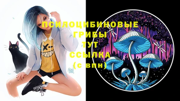амф Балахна