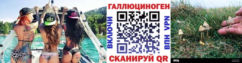 Псилоцибиновые грибы прущие грибы  kraken ТОР  Городище 